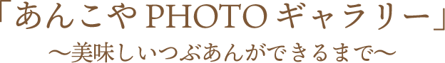 あんこやフォトギャラリー